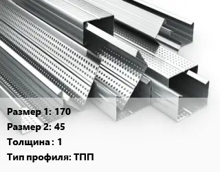 Гнутый профиль 170х45 s=1 ТПП